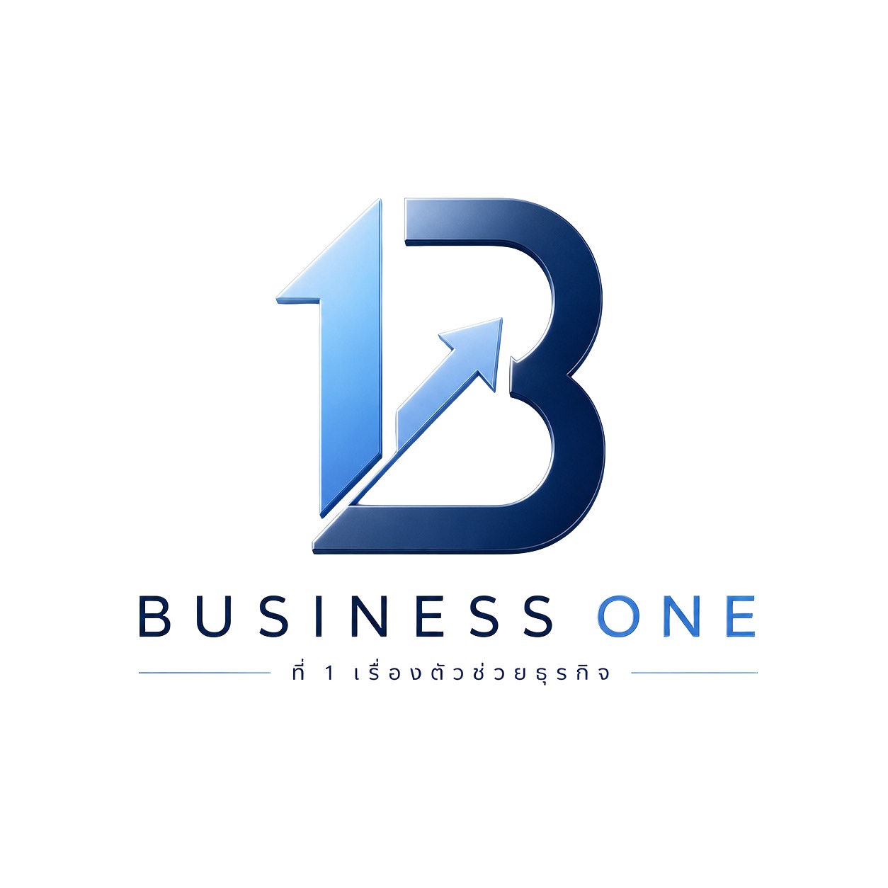 Business One Partner